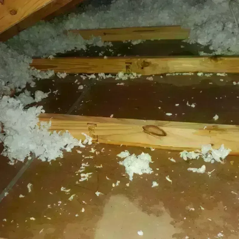 Attic Water Damage in Newberry, MI