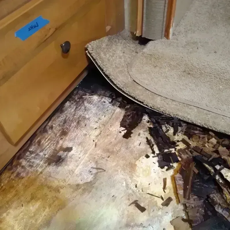 Wood Floor Water Damage in Newberry, MI